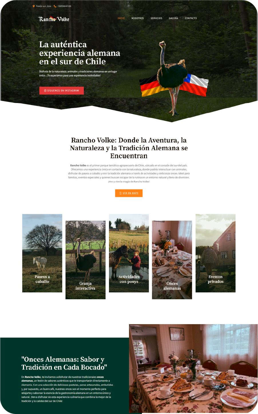 Landing page de alta conversión en Puerto Montt